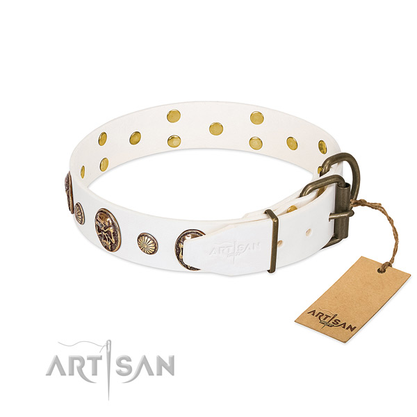 Corrosion resistant D-ring on full grain genuine leather collar for everyday walking your four-legged friend