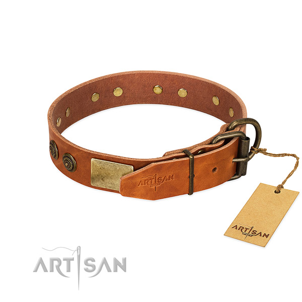 Reliable D-ring on leather collar for fancy walking your pet