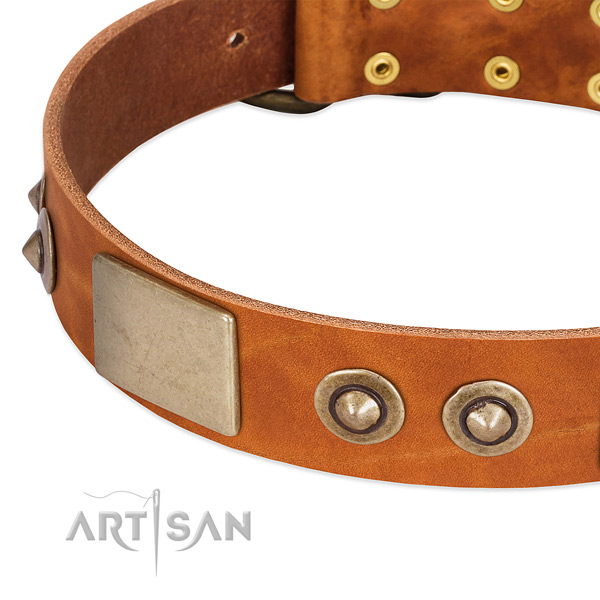 Corrosion proof traditional buckle on genuine leather dog collar for your dog