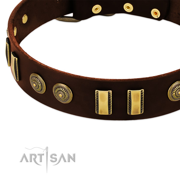 Corrosion proof studs on full grain genuine leather dog collar for your canine