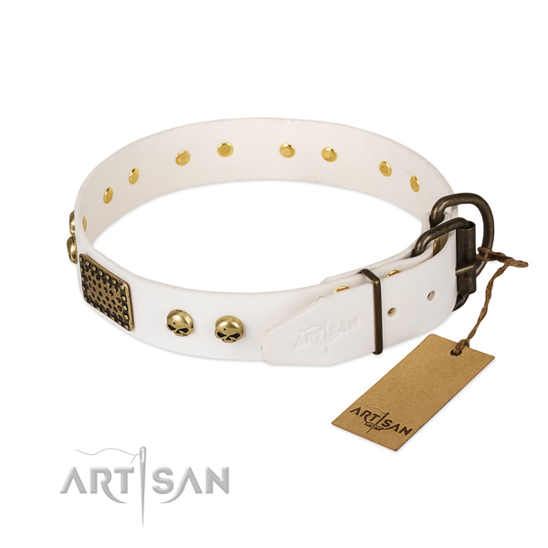 Adjustable leather dog collar for stylish walking your canine