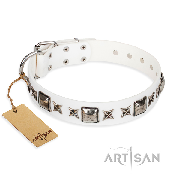 Everyday walking dog collar of durable full grain natural leather with decorations