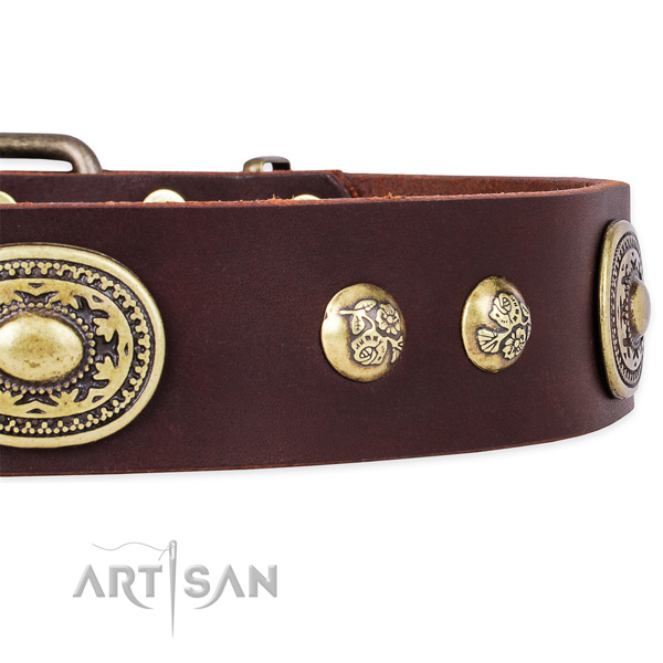 Incredible full grain genuine leather collar for your stylish dog