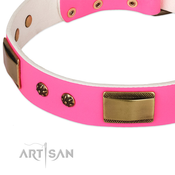 Corrosion resistant decorations on leather dog collar for your pet