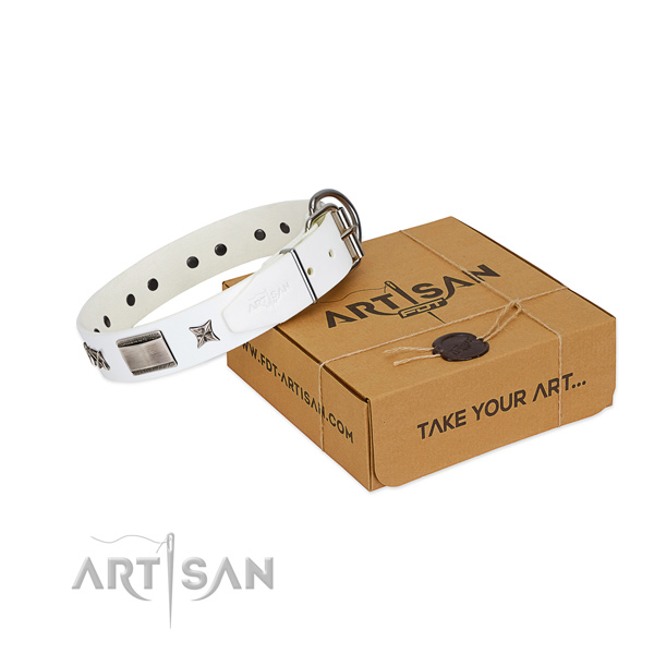 Studded collar of leather for your beautiful four-legged friend