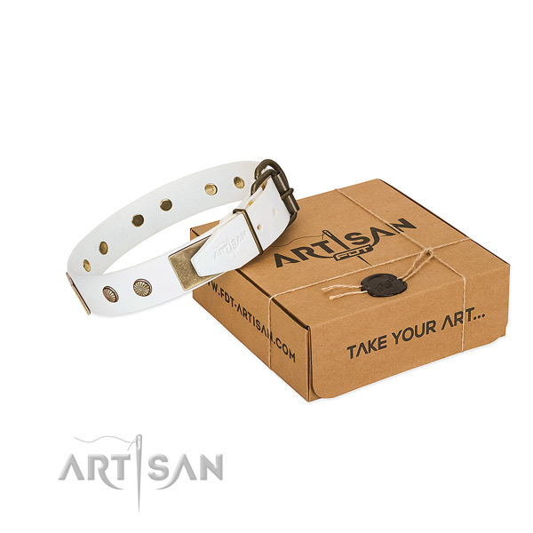 Rust-proof embellishments on dog collar for comfortable wearing