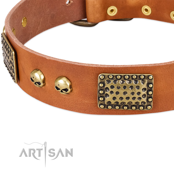 Rust-proof embellishments on full grain leather dog collar for your doggie
