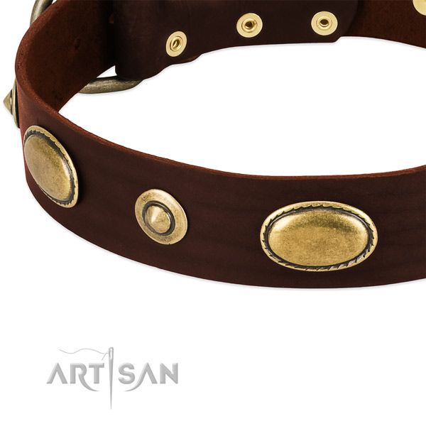 Rust resistant studs on leather dog collar for your canine