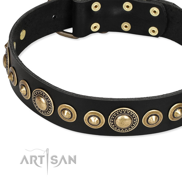 High quality full grain natural leather dog collar created for your beautiful pet