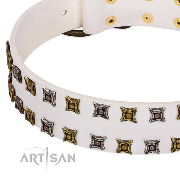Natural leather dog collar with embellishments for your lovely dog