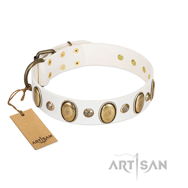 Genuine leather dog collar of soft to touch material with unique studs