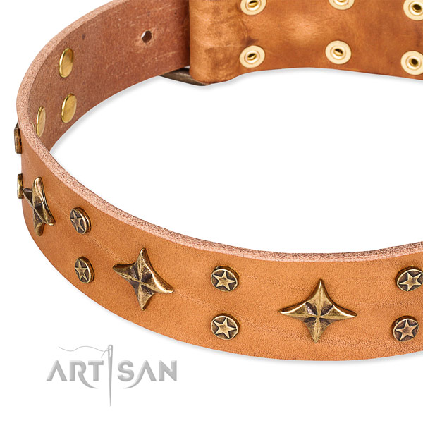 Everyday use decorated dog collar of best quality genuine leather