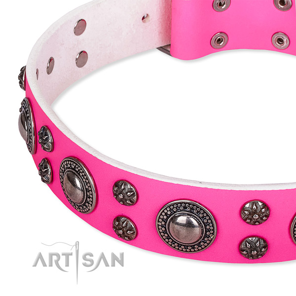 Stylish walking adorned dog collar of durable full grain natural leather