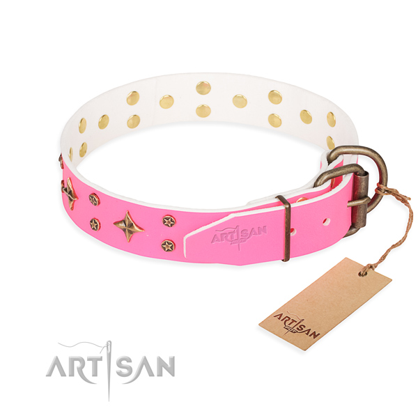 Fancy walking decorated dog collar of top notch natural leather