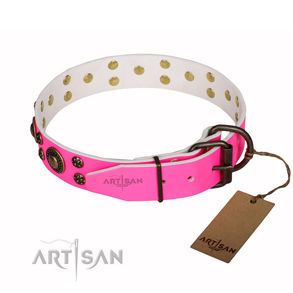 Basic training adorned dog collar of top notch full grain natural leather