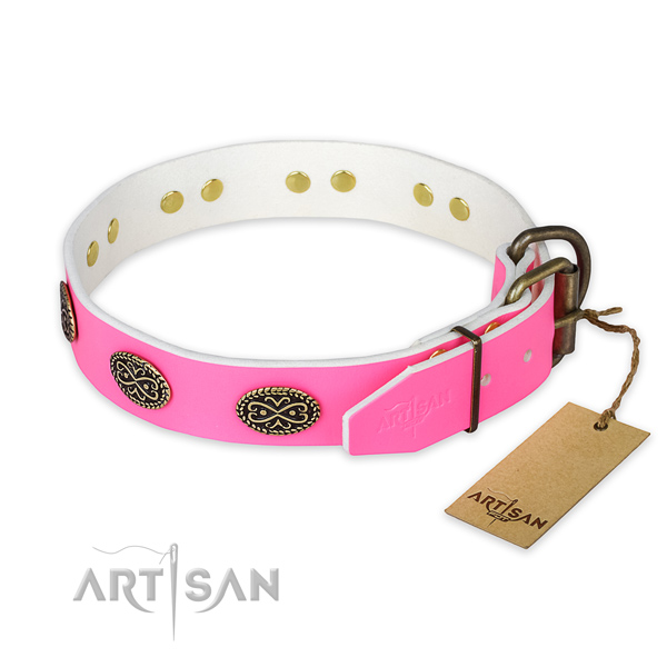 Rust resistant D-ring on handy use dog collar