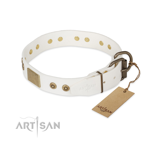 Corrosion resistant traditional buckle on full grain leather collar for fancy walking your pet