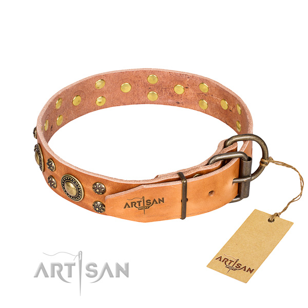 Everyday walking studded dog collar of top quality full grain natural leather