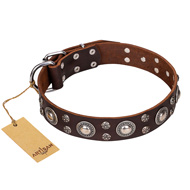 "Age of Beauty" FDT Artisan Incredible Studded Brown Leather Golden Retriever Collar