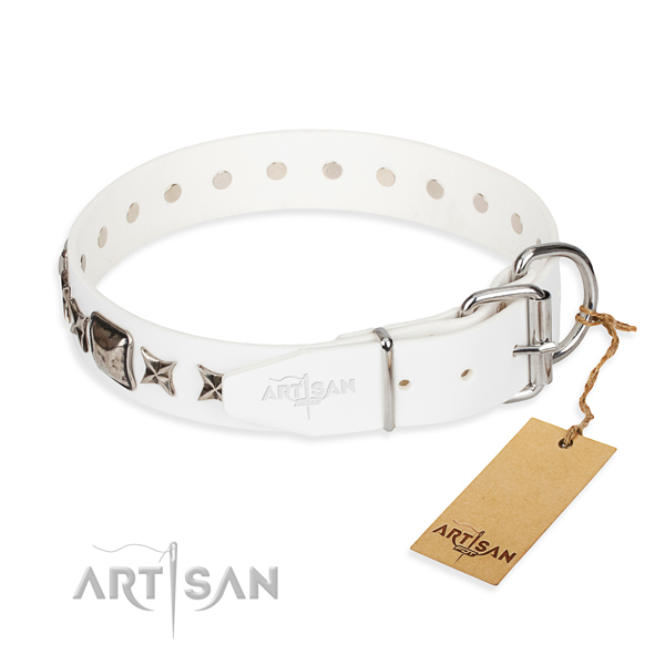 Reliable decorated dog collar of full grain leather