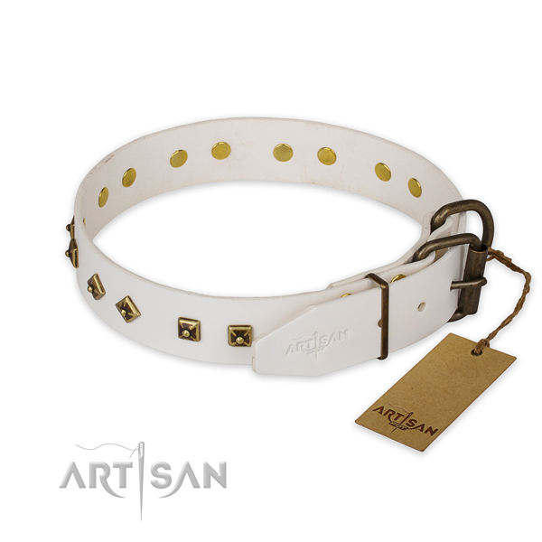 Rust resistant buckle on full grain natural leather collar for daily walking your doggie