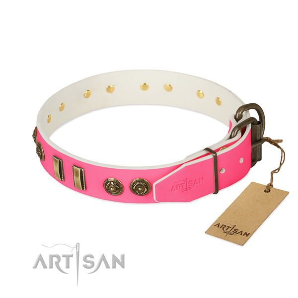 Strong studs on leather dog collar for your dog