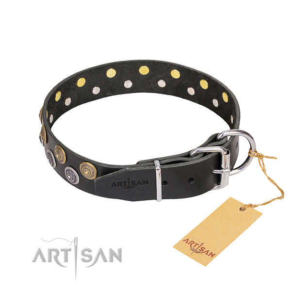 Everyday use studded dog collar of finest quality full grain leather