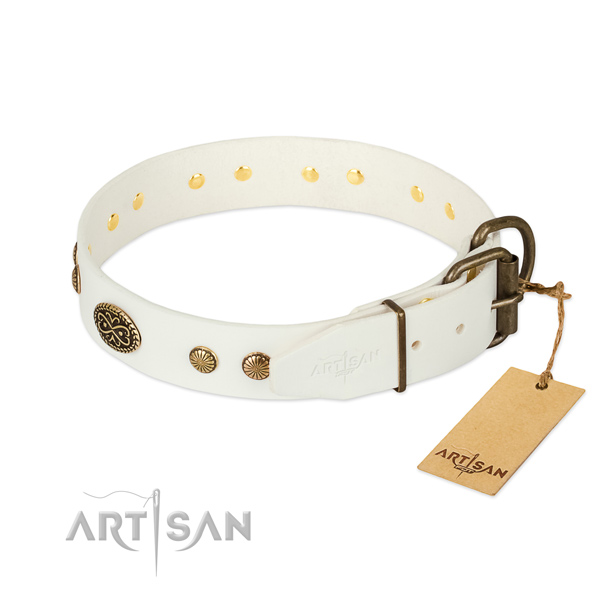Corrosion resistant fittings on leather dog collar for your dog