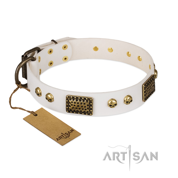 Reliable fittings on everyday walking dog collar