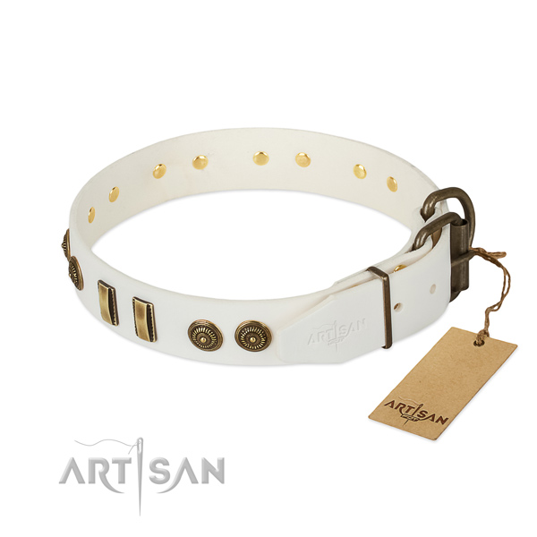 Corrosion proof fittings on full grain leather dog collar for your dog