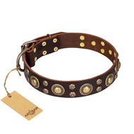 "Flower Melody" FDT Artisan Brown Leather Golden Retriever Collar with Mixed Studs