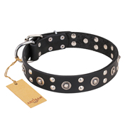 "Refined Essence" FDT Artisan Black Leather Golden Retriever Collar with Silvery Studs