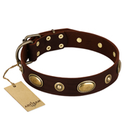 "Hebe's Jewel" FDT Artisan Brown Genuine Leather Golden Retriever Collar