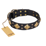 "Fancy-Schmancy" FDT Artisan Studded Leather Golden Retriever Collar