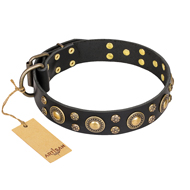 "Baroque Chic" FDT Artisan Studded Black Leather Golden Retriever Collar