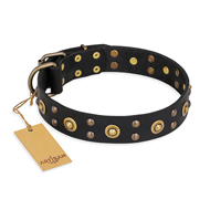"Cosmic Glow" FDT Artisan Black Leather Golden Retriever Collar with Brass-Plated Studs