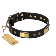 "Black Sun" FDT Artisan Leather Golden Retriever Collar with Brass Plated Decorations