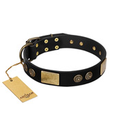 "Chicci-Glam" FDT Artisan Black Leather Golden Retriever Collar with Plates and Ornate Studs