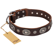 "Extra Pizzazz" FDT Artisan Adorned Brown Leather Golden Retriever Collar