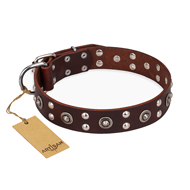 "Pirate Treasure" FDT Artisan Exciting Brown Leather Golden Retriever Collar with Studs