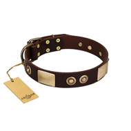 "Sense of Freedom" FDT Artisan Brown Leather Golden Retriever Collar with Old Bronze-Plated Studs and Plates