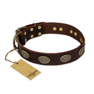"Chocolate kiss" FDT Artisan Leather Golden Retriever Collar with Old Bronze Look Oval Plates
