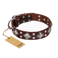 "King of Grace" FDT Artisan Stylish Leather Golden Retriever Collar with Old Silver-Like Plated Decorations