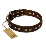 "Fashion Studs" FDT Artisan Decorated Leather Golden Retriever Collar with Old Bronze-Plated Steel Hardware