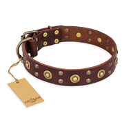 "Caprice of Fashion" FDT Artisan Brown Leather Golden Retriever Collar with Round Decorations