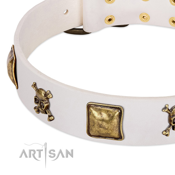Daily use full grain leather dog collar with amazing embellishments