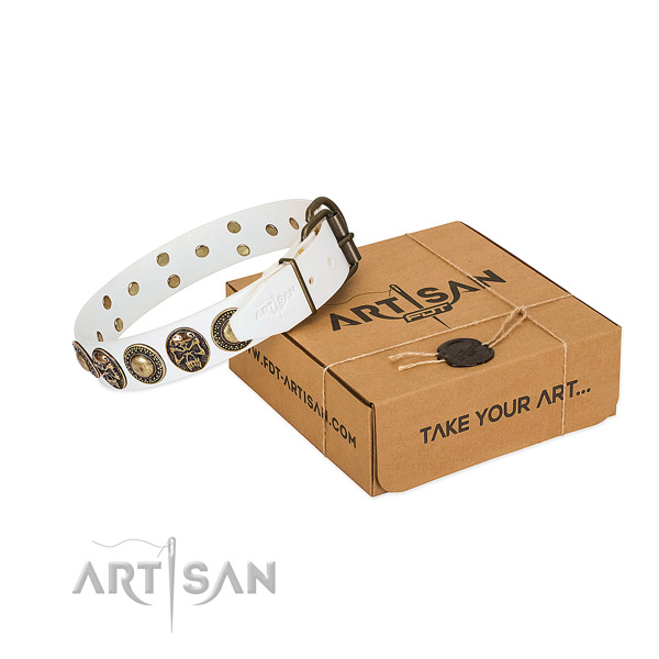 Corrosion resistant studs on dog collar for daily walking