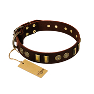 "Golden Elegance" FDT Artisan Brown Leather Golden Retriever Collar with Old Bronze-like Decorations