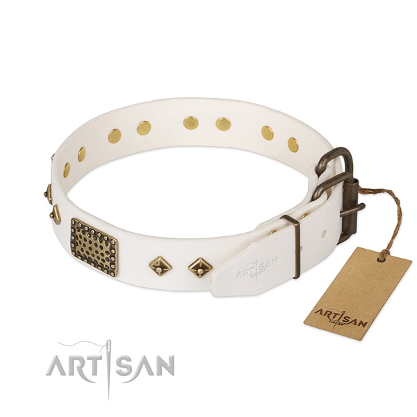 Leather dog collar with strong fittings and studs