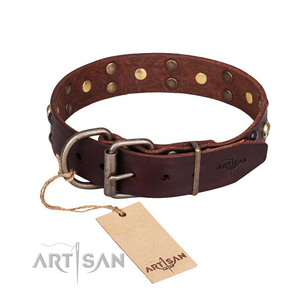 Fancy walking studded dog collar of high quality full grain leather